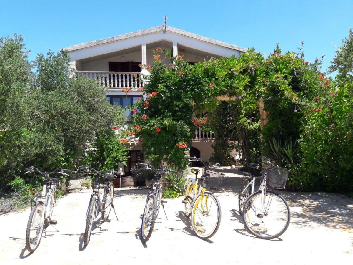 Apartments Marinka Biograd Na Moru Ngoại thất bức ảnh