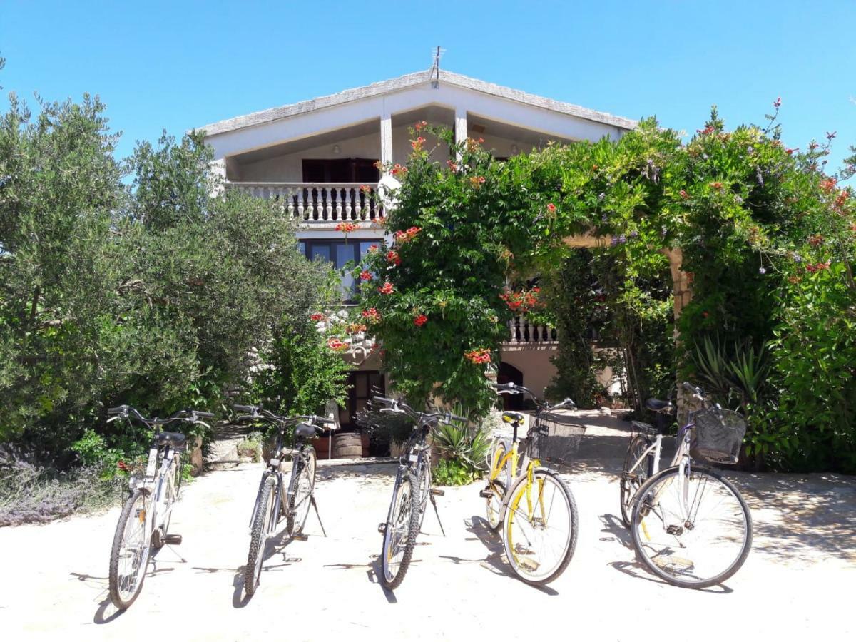 Apartments Marinka Biograd Na Moru Ngoại thất bức ảnh